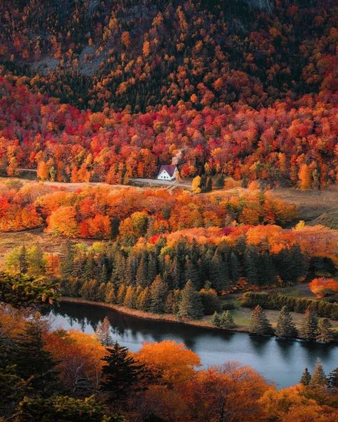 @ryanresatka #fall #fallcolors #autumn #autumnvibes #fallphotography Digital Art Photography, Golden Autumn, National Parks Usa, Winter Love, Autumn Scenery, Cabin In The Woods, Fall Pictures, Canon Photography, Autumn Cozy