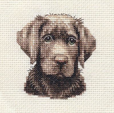 CHOCOLATE LABRADOR RETRIEVER dog, puppy ~ Full counted cross stitch kit Counted Cross Stitch Patterns Free, Cross Stitch Pattern Maker, Chocolate Labrador Retriever, Chocolate Labrador, Crochet Bookmarks, Labrador Retriever Dog, Cross Stitch Animals, Cross Stitch Patterns Free, Counted Cross Stitch Kits