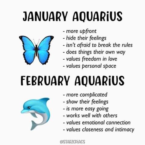 Aquarius Aura, Leo Sun Scorpio Moon, Aquarius Pisces Cusp, Zodiac Personality Traits, Leo Sun, Astrology Meaning, Zodiac Aquarius, Aquarius Life, Celtic Astrology