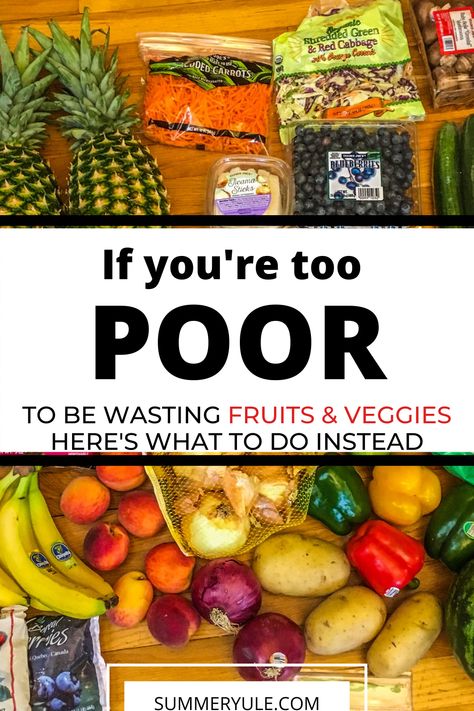 Are you trying to eat healthier, but get frustrated when the food goes bad before you get to eat it? Throwing out expensive fruits and veggies is like pouring your hard-earned money down the drain. :( Prevent food waste and save money by using up leftover fruits and vegetables with the helpful tips in this article! #fruits #vegetables #savemoney #foodwaste #healthyrecipes #healthyliving #healthylivingtips #veggies #mealprep Prevent Food Waste, Eat Healthier, Prep Recipes, Eat Fruit, Food Help, Easy Meal Prep, Healthy Living Tips, Healthy Meal Prep, Fruits Vegetables