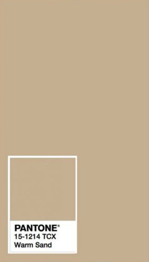 Sand Beige Color Palette, Sand Wall Color, Sand Color Paint, Sand Colored Walls, Sand Pantone, Sand Walls, Ochre Bedroom, Sand Paint Color, Pantone Swatch