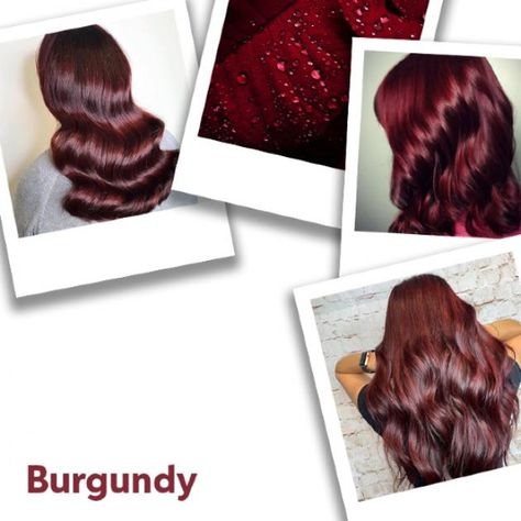 Hair Color Formulas Wella, Burgundy Hair With Highlights, Cherry Cola Hair Color, Black Cherry Hair Color, Black Cherry Hair, Red Violet Hair, Cherry Hair Colors, Wine Hair Color, Caring For Colored Hair