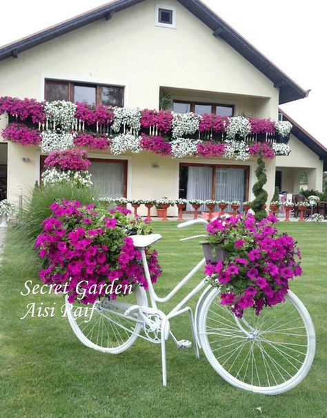 Bicycle With Flowers, Diy Cushions, نباتات منزلية, Planter Design, Outdoor Gardens Design, Garden Yard Ideas, Front Yard Garden, Front Yard Landscaping Design, Rustic Gardens