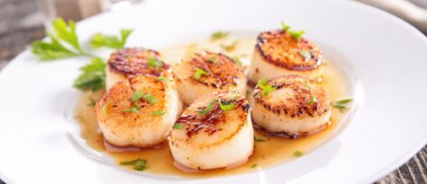 Miso-Glazed Scallops - Joy Bauer Scallops Dinner Ideas, Scallops Dinner, Scallops Recipes, Wolfgang Puck Recipes, Pan Fried Scallops, Ramen Dinner, Fried Scallops, How To Cook Scallops, How To Cook Liver