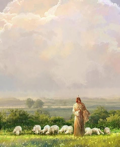 Images Of Christ, Pictures Of Christ, Jesus Wallpaper, Jesus Painting, The Good Shepherd, 수채화 그림, Jesus Christus, General Conference, Light Of Life