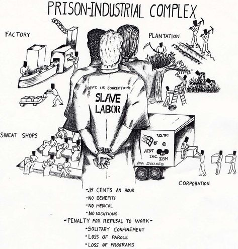 Responding to the Prison Industrial Complex - By Their Strange Fruit Facts About America, Prison Reform, Protest Art, Solitary Confinement, Mass Incarceration, It Goes On, Social Issues, New Yorker, Labor