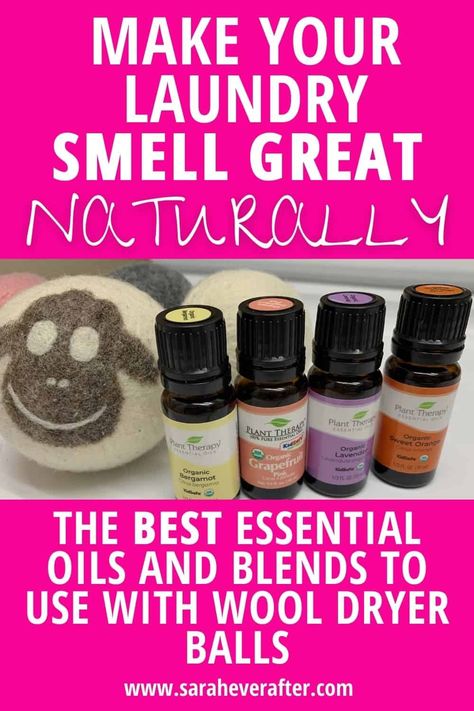 Essential Oil Combos, Best Smelling Essential Oils, Essential Oils For Laundry, Best Scents, Homemade Cleaning Supplies, Essential Oil Combinations, Laundry Scents, Jasmine Essential Oil, Essential Oils Guide