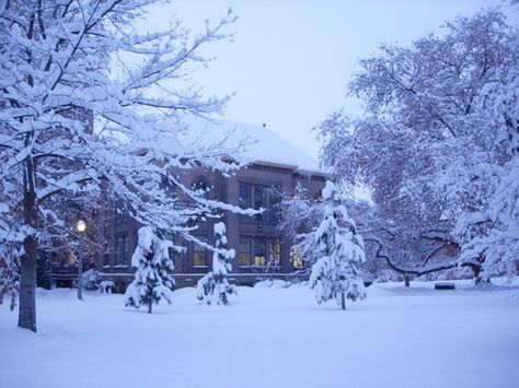 Walla Walla, WA : Whitman College Memorial Building - December 2008 Whitman College, Walla Walla, What Is Christmas, The Blue Mountains, Washington State, Merry Christmas, Building, Travel, Christmas