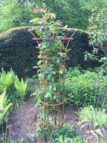 Clematis Rose Obelisk Garden Plant Support Ideas, Rose Obelisk, Clematis Trellis, Pagoda Garden, Diy Garden Trellis, Garden Obelisk, Dollhouse Garden, Garden Gazebo, Veg Garden