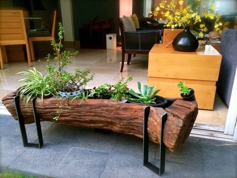 Log Planter, Wood Stumps, Wooden Log, Diy Plant Stand, Log Furniture, Wood Logs, Wooden Planters, Cool Ideas, Into The Woods