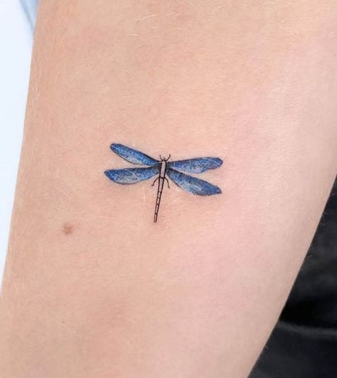 57 Stunning Dragonfly Tattoos With Meaning - Our Mindful Life Mini Dragonfly Tattoo For Women, Tattoos Of Dragonflies, Small Dragonfly Tattoo Color, Delicate Dragonfly Tattoo For Women, Tiny Dragonfly Tattoo For Women, Mini Dragon Fly Tattoo, Stained Glass Dragonfly Tattoo, Blue Dragon Fly Tattoo, Dragonfly Wrist Tattoos For Women