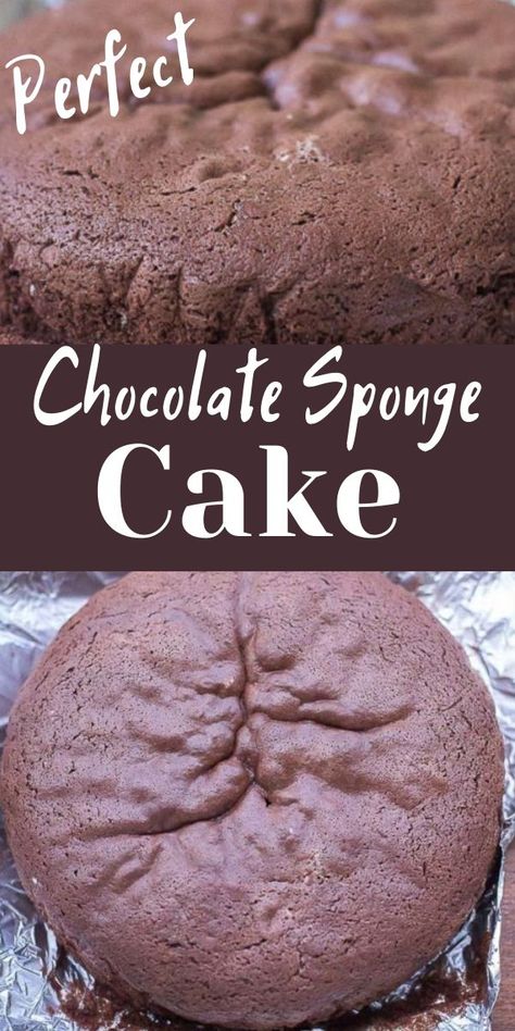 Chocolate Sponge Cake Recipe Moist, Chocolate Sponge Cake Recipe Easy, Spongy Cakes Recipe, Sponge Cake Recipe Best, Cakes Coconut, Chocolate Sponge Cake Recipe, Cakes Strawberry, Cakes Vanilla, Coconut Cakes