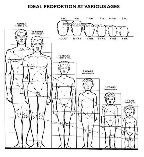 Human Body Proportions, Drawing Body Proportions, Character Design Tutorial, Human Figure Sketches, Human Anatomy Drawing, Human Figure Drawing, Human Anatomy Art, Human Drawing, Anatomy Sketches