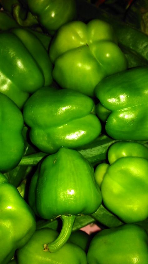 This image pick by me Green Capsicum, Nature Photography, Stuffed Peppers, Green, Photography, Nature