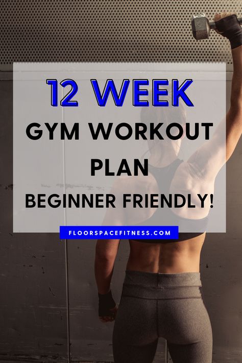 12-Week Gym Workout Plan (Beginner Friendly) 12 Week Gym Workout Plan, Workout Plan Beginner, Weight Machine Workout, Pilates Arms, Beginner Workouts For Women, Gym Workout Schedule, Beginners Gym Workout, Beginners Gym Workout Plan, 12 Week Workout Plan