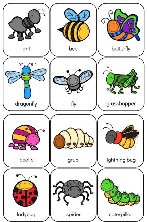 Here's Your Free Bug Flashcards Preschool Bug Activities, Bug Activities, Bugs Preschool, Insect Activities, Bug Crafts, Kindergarten Worksheets Printable, Preschool Theme, Kids Learning Activities, Tracing Worksheets