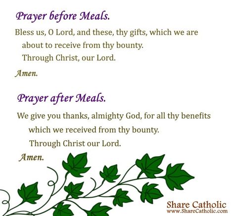 Prayer before Meals. Bless us, O Lord, and these, thy gifts, which we are about to receive from Thy bounty. Through Christ, our Lord. Amen.   Prayer after Meals. We give you thanks, almighty God, for all thy benefits which we received from thy bounty. Through Christ our Lord. Amen. Bless Us Oh Lord And These Thy Gifts, Grace Before Meals, Prayers Before Meals, Mealtime Prayers, Rosary Prayers, Food Prayer, Prayers Catholic, Rosary Prayers Catholic, Health And Safety Poster