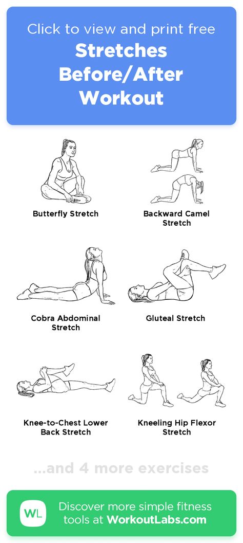 Leg Stretches Before Workout, Back Stretches Before Workout, Workout Stretches Cool Down, Stretches For Before Workout, Best Stretches After Workout, Best Stretches Before Workout, Stretches To Make You Feel Good, Yoga Before Workout, Stretches For After Leg Workout