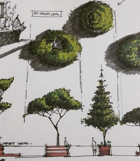 Architectural Trees, Landscape Design Drawings, Landscape Architecture Drawing, Architecture Sketchbook, Tree Sketches, Landscape Sketch, Architecture Design Sketch, Architecture Concept Drawings, Landscape Architecture Design