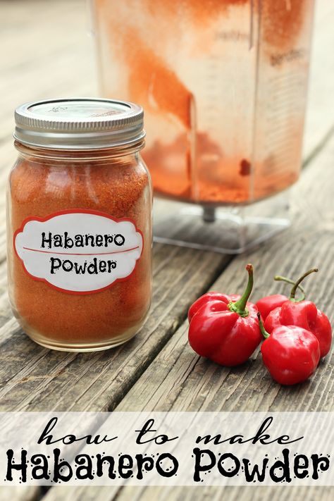 How to Make Habanero Powder - Little Us Habanero Recipes, Cooking Peppers, Habanero Salsa, Chipotle Seasoning, Dehydrated Vegetables, Storing Fruit, Homemade Spice Blends, Habanero Peppers, Powder Recipe