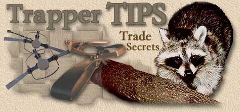 Tips And Tricks Trapping Fur, Fur Trapping, Coyote Trapping, How To Make Traps, Snare Trap, Archery Club, Animal Traps, Coyote Hunting, Types Of Hunting