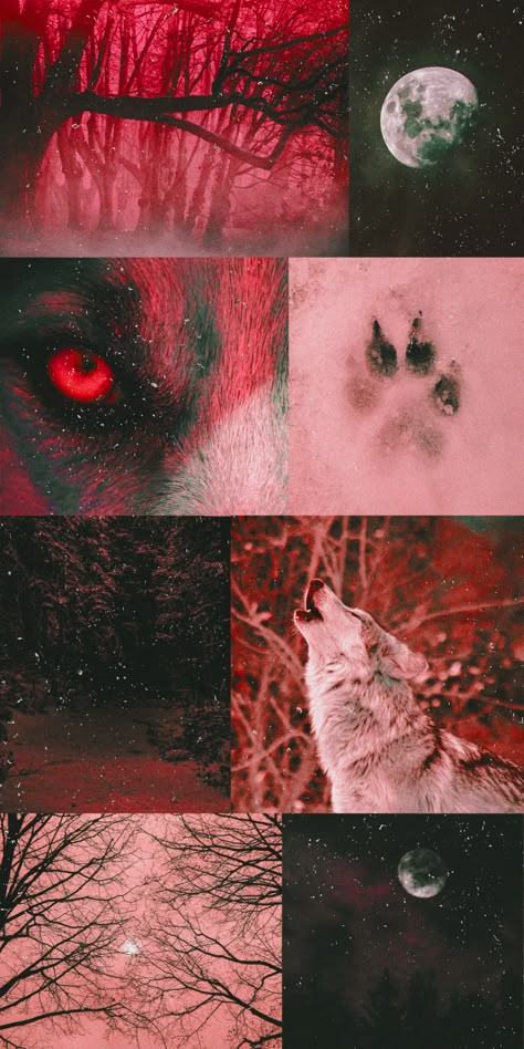 Wolf Wallpaper Iphone Aesthetic, Wolf Collage Wallpaper, Were Wolf Aesthetic, Werewolf Aesthetic Wallpaper, Wolf Wallpaper Aesthetic, Werewolf Fanart, Werewolf Wallpaper, Ultima Werewolf, Lup Singuratic