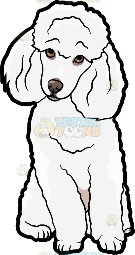 Standard Poodle Teddy Bear, Poodle Teddy Bear Cut, Red Poodle Puppy, Dog Toy Organization, Poodle Tattoo, Poodle Drawing, Red Poodles, Face Outline, Dog Line Art