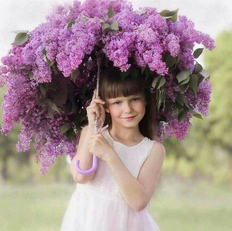 Floral Umbrellas, Umbrella Decorations, Umbrella Art, Arte Floral, Flower Girls, Flower Dresses, Purple Flowers, Flower Power, Paper Flowers