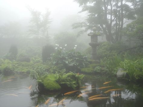 Japanese Forest, Foggy Forest, Pond Design, Pretty Landscapes, Japan Aesthetic, Aesthetic Japan, Japanese Aesthetic, Dark Forest, Nature Aesthetic