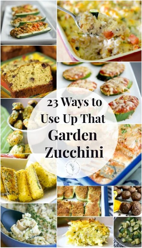 Summer is almost over and garden zucchini is in abundance. Here are 23 zucchini recipes to help you use up your bounty. Fresh Zucchini Recipes Healthy, Unique Zucchini Recipes, Parmesan Crusted Zucchini, Garden Zucchini, Recipes Zucchini, Chocolate Chip Zucchini Bread, Roast Zucchini, Zucchini Recipe, Bake Zucchini