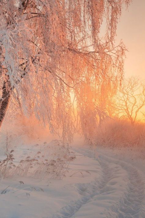 Winter Into Spring Aesthetic, Winter Warmth Aesthetic, Calm Winter Aesthetic, Winter Aesthetic Nature, Winter Sunrise Aesthetic, Sunny Winter Day Aesthetic, Winter Sun Aesthetic, Snow Esthetics, Light Winter Aesthetic