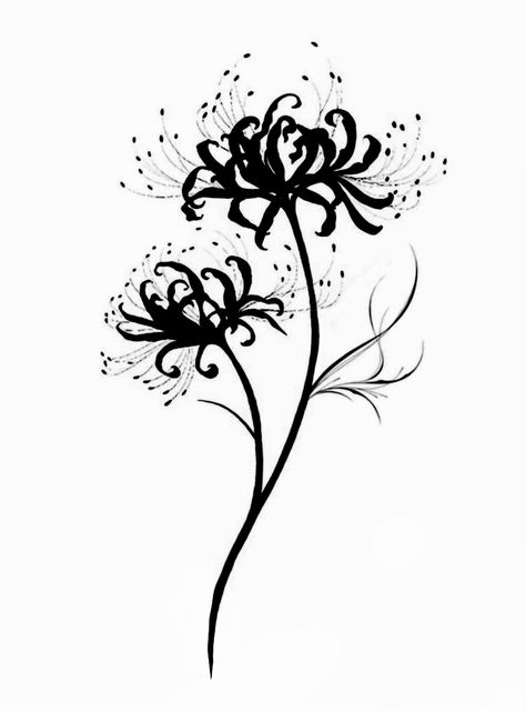 Illumi Tattoo Ideas, Black And White Spider Lily Tattoo, Spider Lily Drawing Easy, Spider Lily Tattoo Black And White, Alternative Flower Tattoo, Spider Lily Illustration, Spider Lily Flower Drawing, Tokyo Ghoul Spider Lily Tattoo, Spider Flower Drawing