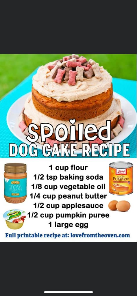 Spoiled Dog Cake, Easy Dog Cake, Homemade Dog Cake, Dog Cake Recipe, Dog Birthday Cake Recipe, Dog Cake Recipes, Pet Treats Recipes, Easy Dog Treat Recipes, Colorful Hairstyles