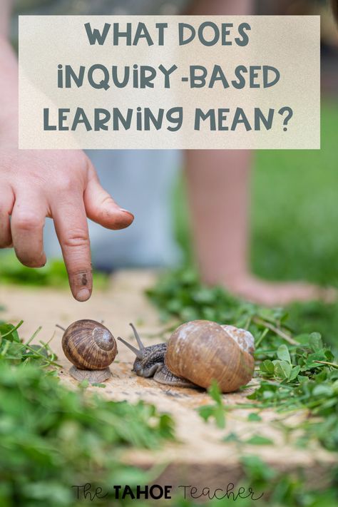 Have you been wondering what inquiry-based learning means exactly? Inquiry-based learning is explained right here, including examples to get you started. Find out about different inquiry structures and how you can incorporate inquiry-based learning in your classroom today. Inquiry Based Learning Kindergarten, Ib Pyp Classroom, Kindergarten Inquiry, Science Stations, Playbased Learning, Inquiry Based Learning, Forest School, Science Resources, Classroom Inspiration