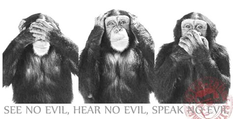 monkey do'nt hear Monkey Do'nt see Monkey Do'nt do | monkeys san en or sanzaru or sanbiki no saru literally three monkeys ... Aging Society, Three Monkeys, Hill Street Blues, Three Wise Monkeys, Great Philosophers, Hear No Evil, Wise Monkeys, Speak No Evil, See No Evil