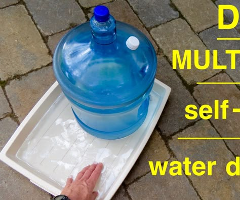 Here's a quick and easy hack on how to use a water dispenser bottle to make a multi cat, dog or pet watering station that self fills. Only a few modifications are... Dispenser Diy, Pet Water Bowl, Dog Water Dispenser, Diy Dish, Water Station, Diy Bowl, Dog Water Bowls, Diy Water, Diy Cans