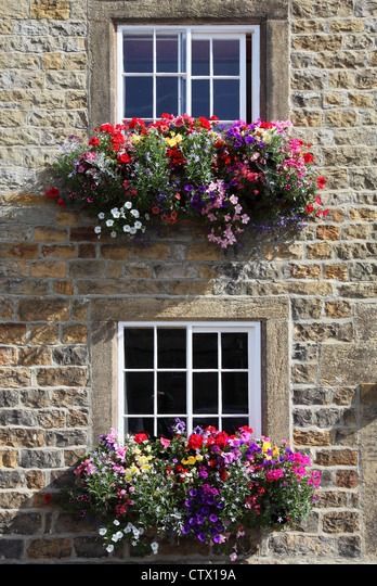 Colourful window boxes outside a stone built house in Masham, Yorkshire, England, UK Stock Photo Window Boxes Flowers, Stone Front House, Window Baskets, England House, House With Balcony, Window Box Flowers, Old Stone Houses, Red Geraniums, Plants For Hanging Baskets