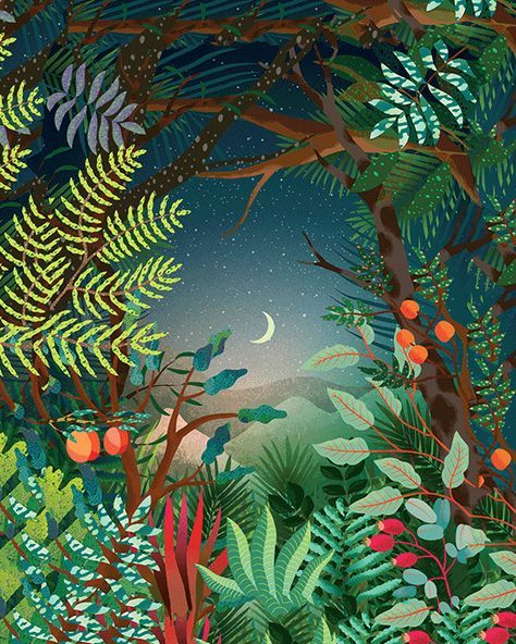 Outline Artists, Jungle Illustration, Jungle Art, Forest Illustration, Tropical Art, Plant Illustration, Art And Illustration, Art Practice, 판타지 아트