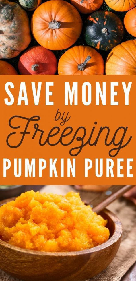 Use this super easy fresh pumpkin puree recipe to replace that expensive canned pumpkin! Whole pumpkins welcome! #pumpkin #puree #frugal #easy Pumpkin Whole, Freezing Produce, Freezing Pumpkin, Pumpkin Pound Cake Recipes, Fresh Pumpkin Puree, Pumpkin Puree Recipes, Types Of Pumpkins, Pumpkin Varieties, Freezing Food