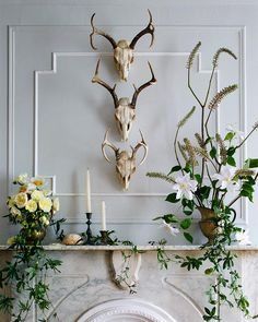 12 Amazing Shed Antler Decorations for the Ladies Deer Shed Decor, Deer Antler Decor Living Room, Deer Skull Decor Living Room, Antler Display Ideas, Antler Decorations, Mantle Flowers, Deer Skull Decor, Decorating With Antlers, Antler Wall Decor