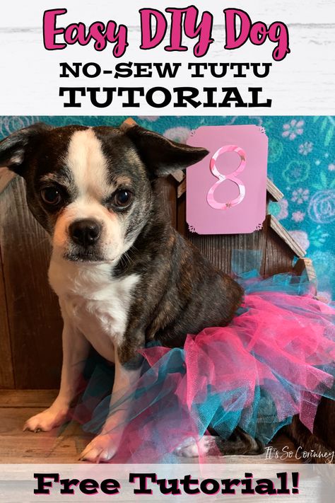 Dog Skirt Pattern, How To Make A Tulle Skirt, Tutu Tutorial, No Sew Tutu, How To Make Tutu, Dog Tutu, Super Cute Dogs, Diy Tutu, Baby Tutu