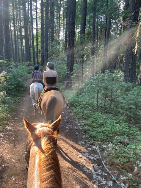 Horse Riding Mountains, Horse Riding In The Woods, Horse Trail Ride Aesthetic, Trail Ride Aesthetic, Trail Riding Aesthetic, Summer Horse Riding, Horse Trail Ride, Camping With Horses, Horseback Riding Aesthetic