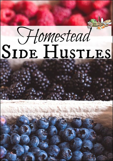 Homestead Side Hustle, Homestead 101, Homestead Business, Homestead Family, Backyard Homesteading, Homestead Skills, Living Off Grid, Backyard Ducks, Hobby Farming