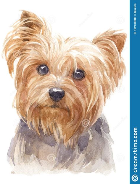 Yorkie Painting, Tatoo Dog, Dog Watercolor Painting, Portraits Pop Art, Yorkshire Dog, 강아지 그림, Colour Painting, Yorkshire Terriers, Watercolor Dog