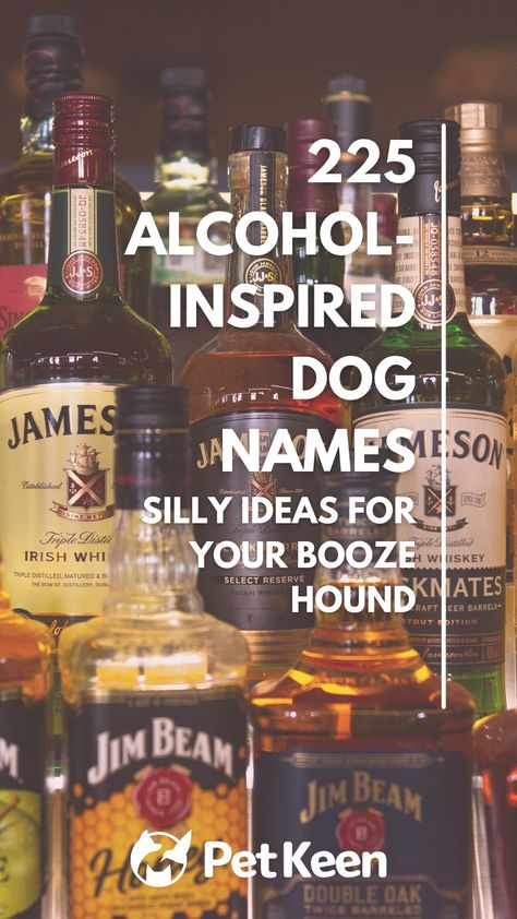 From brands to cocktails to accessories, there are a ton of alcohol-inspired names for your dog. Alcohol Dog Names, Boy Dog Names, Drink Names, Female Dog Names, Great Names, Name List, Boy Dog, Dog Names, Bourbon