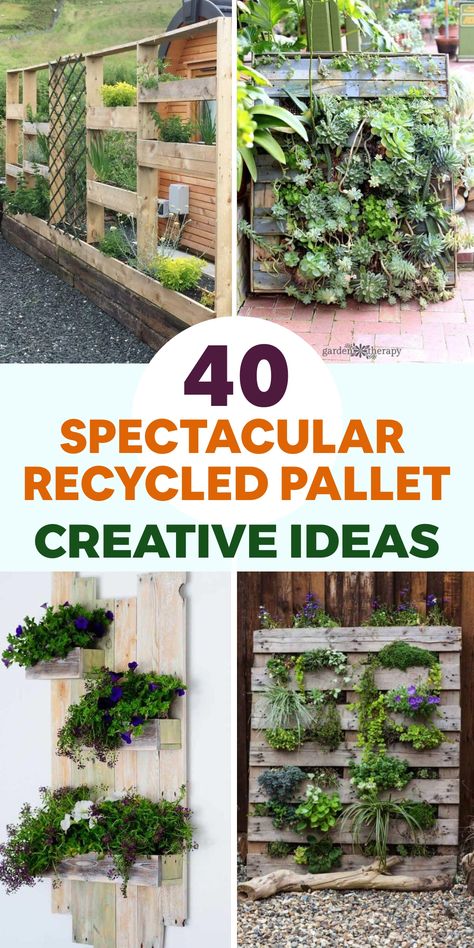 Upgrade your outdoor area with eco-friendly pallet furniture that merges chic design and sustainable practices. Design a welcoming lounge corner by transforming pallets into a snug sofa and incorporating durable cushions for all-weather comfort. Craft a striking vertical garden using pallets as stylish planters to cultivate herbs, blooms, and succulents in a space-efficient and earth-conscious manner. These repurposed pallet projects elevate your outdoor space while showcasing your passion for n Pallet Plant Hanger Wall, Pallet Living Wall, Single Pallet Projects, Pallet Succulent Planter, Pallet Planters Ideas, Planters From Pallets, Pallet Planter Wall, Wood Projects Garden, Pallet Repurpose