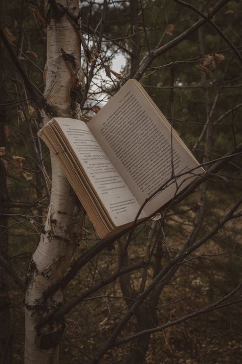 Forest Book, Sacred Garden, Dark Forest Aesthetic, Dark Black Wallpaper, Dark Books, Book Tree, Instagram Profile Picture Ideas, Photography Themes, Profile Pictures Instagram