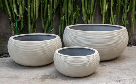 Exton Clay Pot Planter | Birch Lane Campania International, Fiberglass Planters, Small Shrubs, Clay Planters, Natural Aging, Small Planter, Pottery Planters, Large Planters, Outdoor Planters