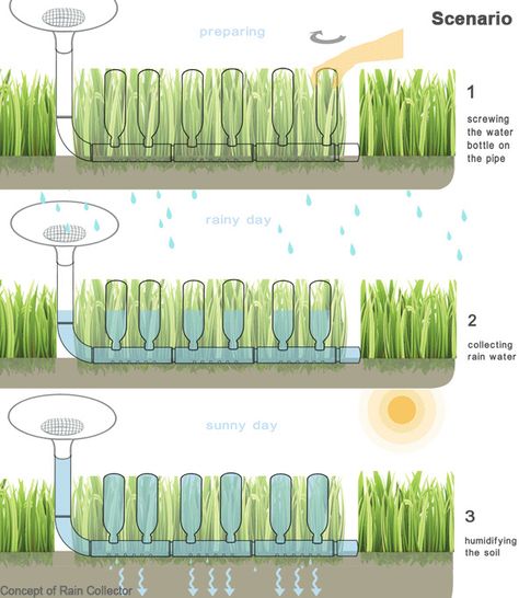 Concept Design_Rain Collector on Behance Rain Collector, Future Vision, Gardening For Kids, Recycle Plastic Bottles, Plastic Bottles, Industrial Design, Sunny Days, Concept Design, The Collector