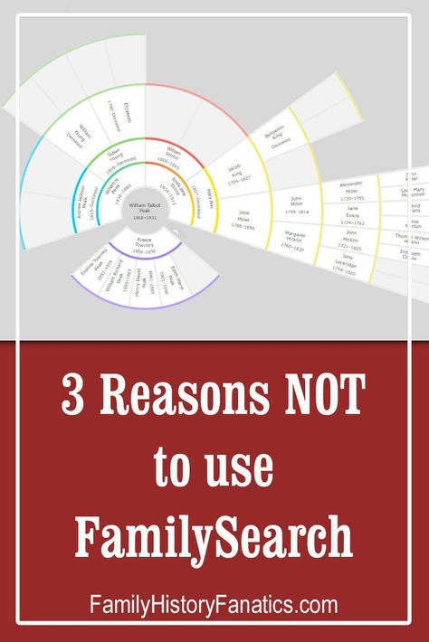 Family Genology Tree, Family Tree Projects, Family Trees, Family Tree Diagram, Free Genealogy Records, Family Tree Forms, Family Tree Quotes, Genealogy Tree, Genealogy Quotes